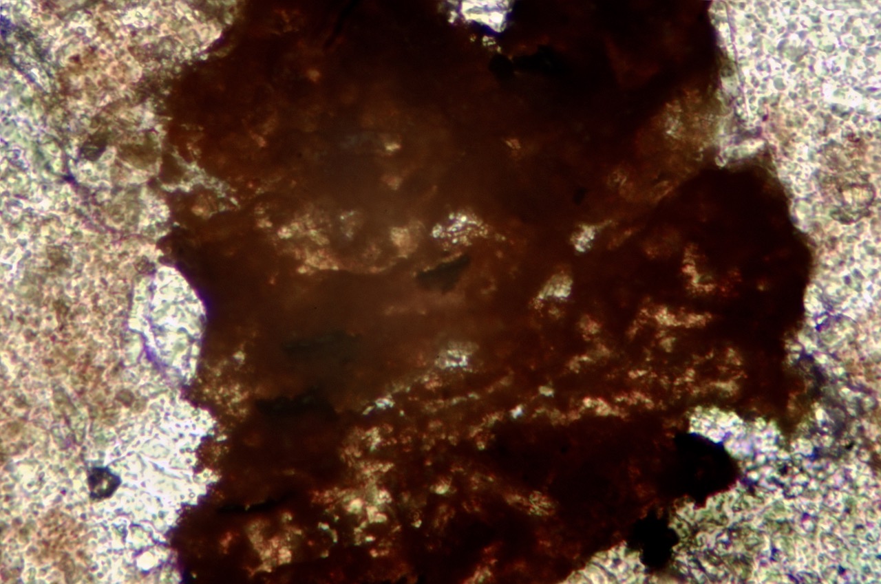 IronTitanium Oxides Geology North